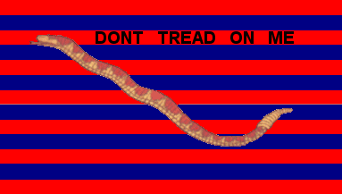 [South Carolina Navy]